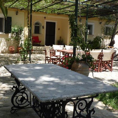 Theni Olive Grove Villa Kato Yerakarion Zewnętrze zdjęcie