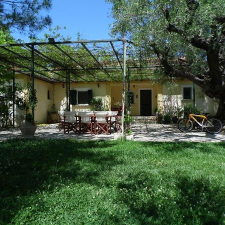 Theni Olive Grove Villa Kato Yerakarion Zewnętrze zdjęcie