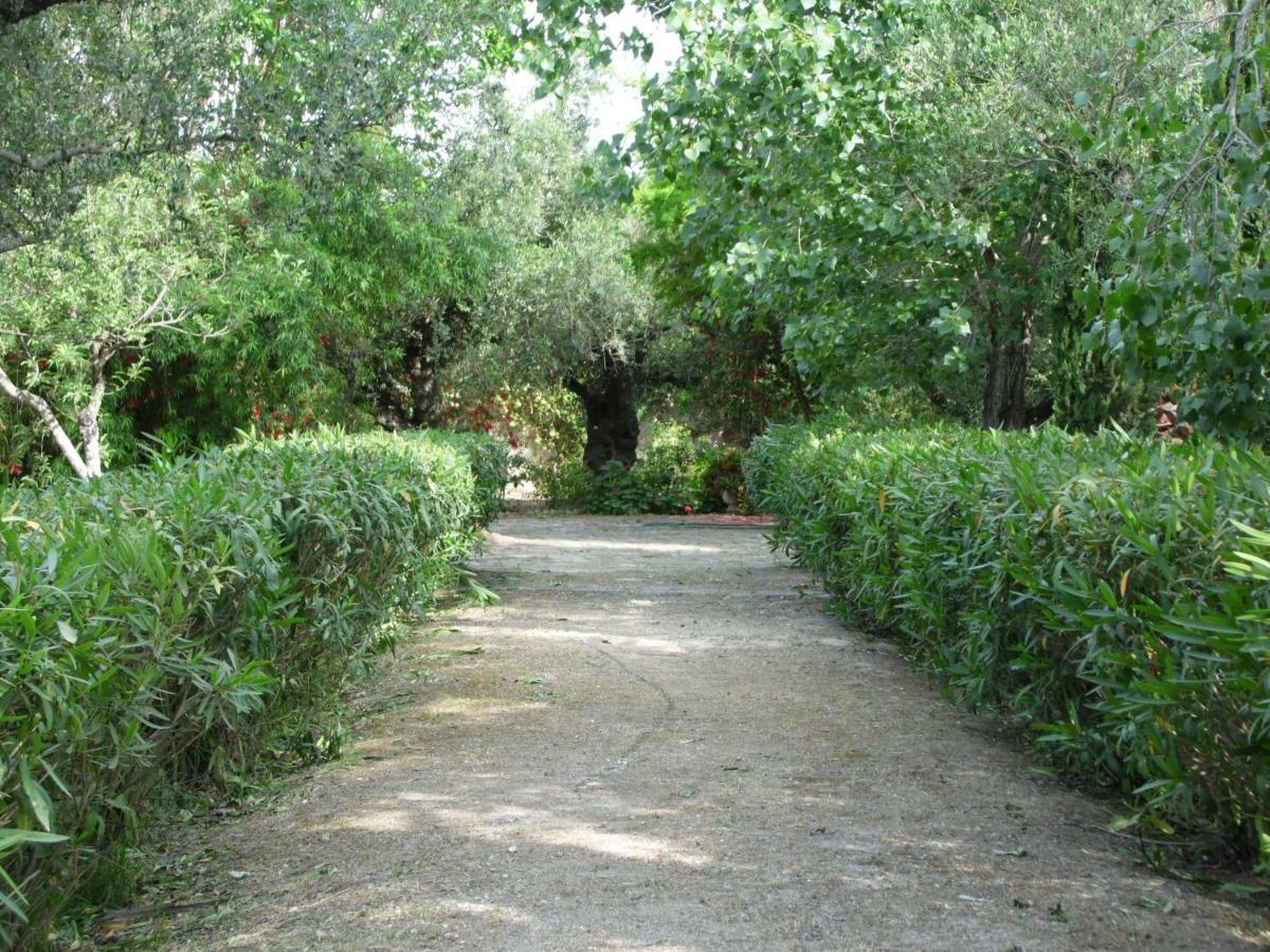 Theni Olive Grove Villa Kato Yerakarion Zewnętrze zdjęcie