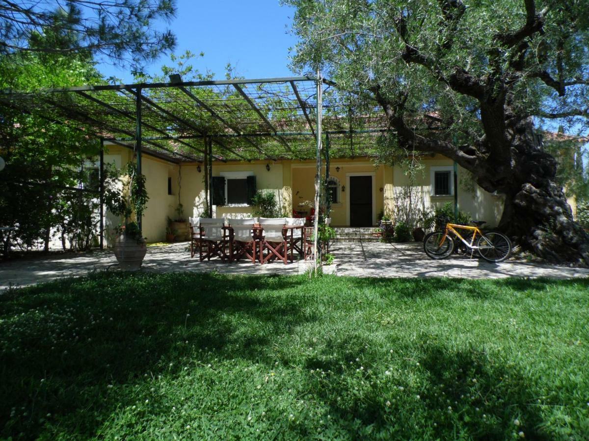 Theni Olive Grove Villa Kato Yerakarion Zewnętrze zdjęcie