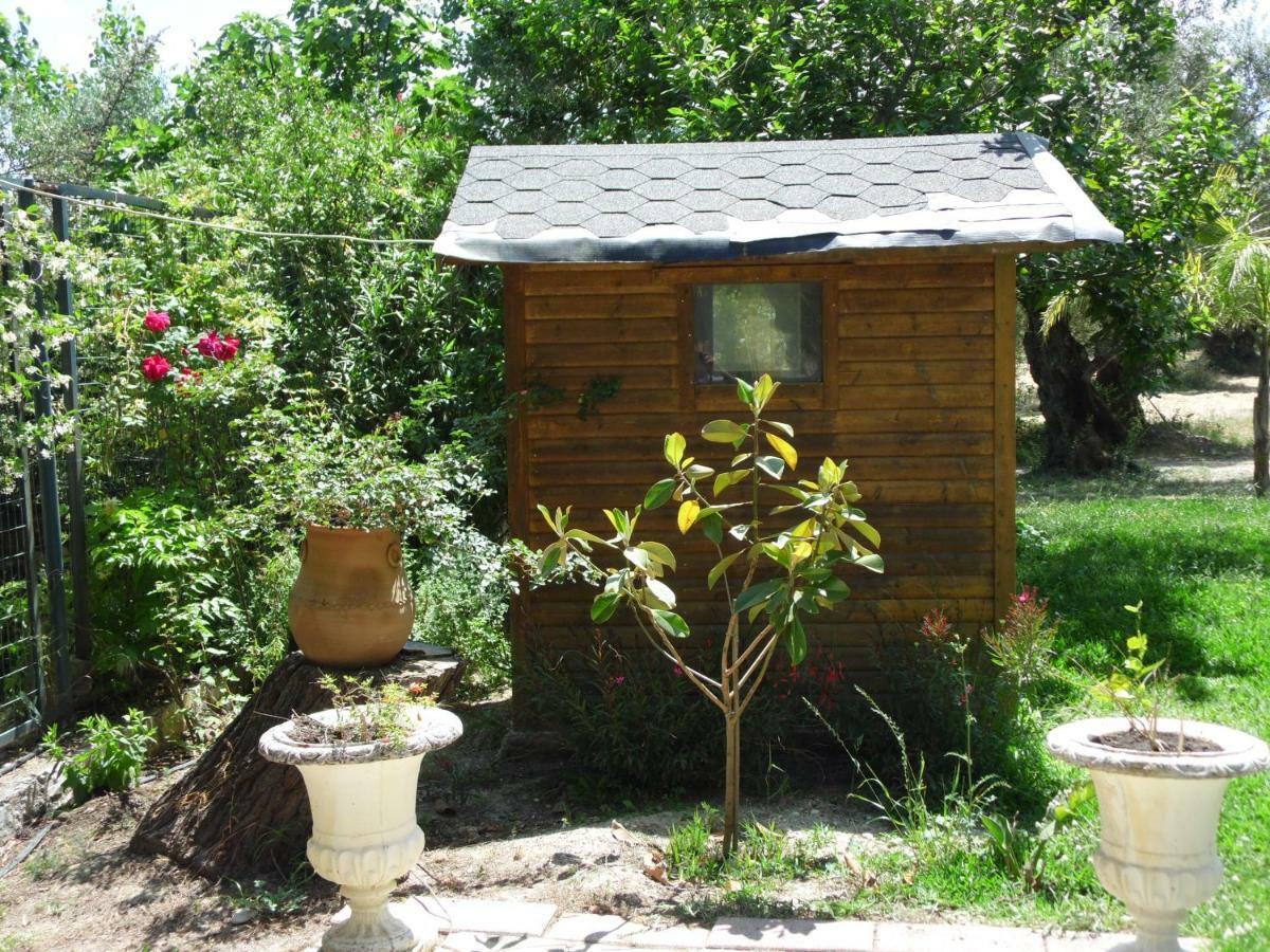 Theni Olive Grove Villa Kato Yerakarion Zewnętrze zdjęcie